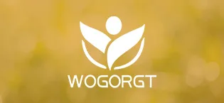 WOGORGT Magnesium Glycinate Gummies 400mg - Raspberry - 60 Gummies - product information 2
