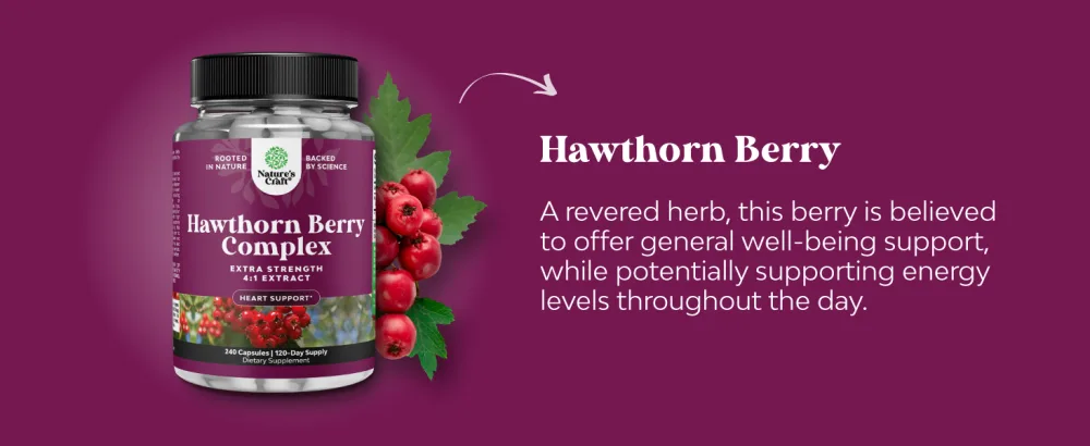 Natures Craft High Strength Hawthorn Berry Complex Extract 4:1 - 240 Capsules - ingredient
