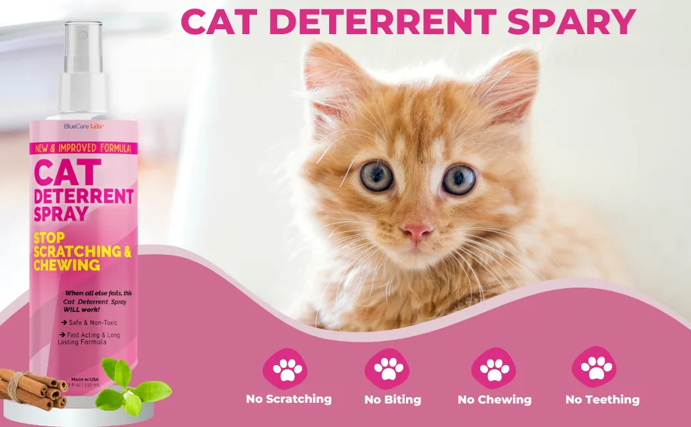 Cat and Kitten Scratch Spray Deterrent - Pet Repellent Spray for Cats & Kittens - Non-Toxic Indoor Anti Cat Scratching Formula - BLUECARE LABS - cat Deterrent spary
