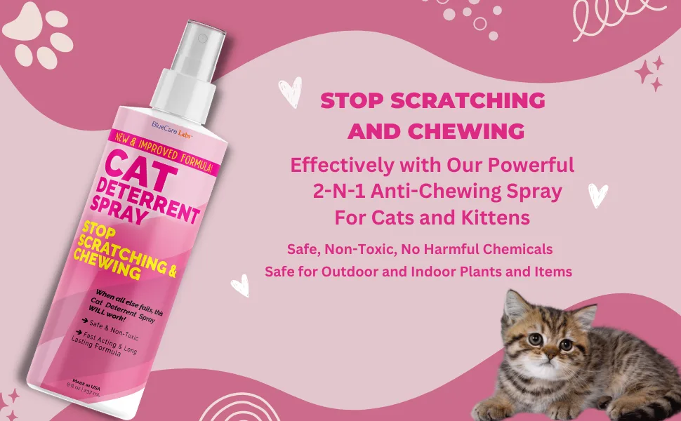 Cat and Kitten Scratch Spray Deterrent - Pet Repellent Spray for Cats & Kittens - Non-Toxic Indoor Anti Cat Scratching Formula - BLUECARE LABS - cat spary