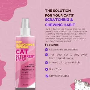 Cat and Kitten Scratch Spray Deterrent - Pet Repellent Spray for Cats & Kittens - Non-Toxic Indoor Anti Cat Scratching Formula - BLUECARE LABS - cat spray