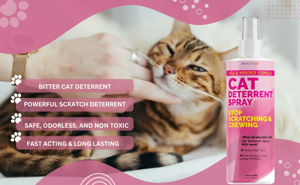 Cat and Kitten Scratch Spray Deterrent - Pet Repellent Spray for Cats & Kittens - Non-Toxic Indoor Anti Cat Scratching Formula - BLUECARE LABS - product information 3