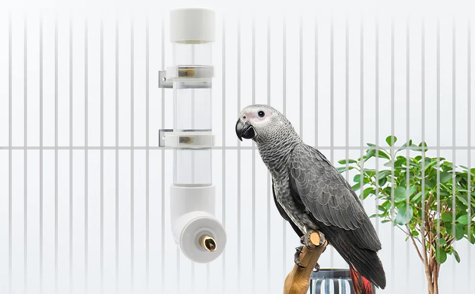 Bird Drinker Waterer Parrot Automatic Drinking Device for Parakeet Cockatiel Conure Lovebird African Grey Macaw Amazon Medium - Bird Water Dispenser