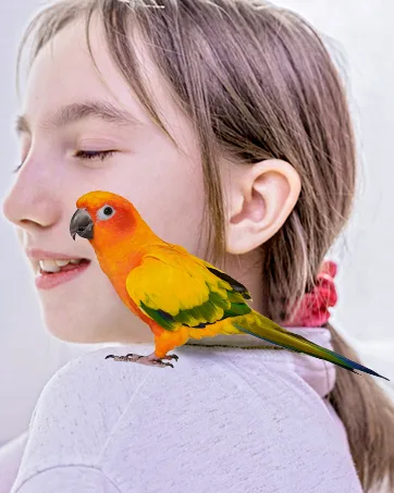 Bird Drinker Waterer Parrot Automatic Drinking Device for Parakeet Cockatiel Conure Lovebird African Grey Macaw Amazon Medium - Wontee-Brand Story Bird