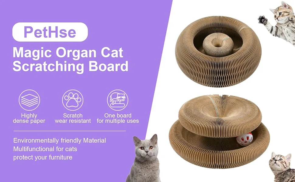 PetHse Magic Organ Cat Scratching Board, Interactive Scratch Pad Cat Toy with Toy Bell Ball - cat toy