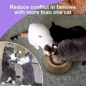PetHse Magic Organ Cat Scratching Board, Interactive Scratch Pad Cat Toy with Toy Bell Ball - reduce conflict