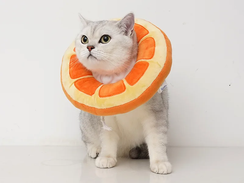 ANWA Adjustable Cat Cone Collar Soft, Cute Cat Recovery Collar, Cat Cones After Surgery for Kittens Medium (7-18 lbs) Orange - Full Peripherial Vision