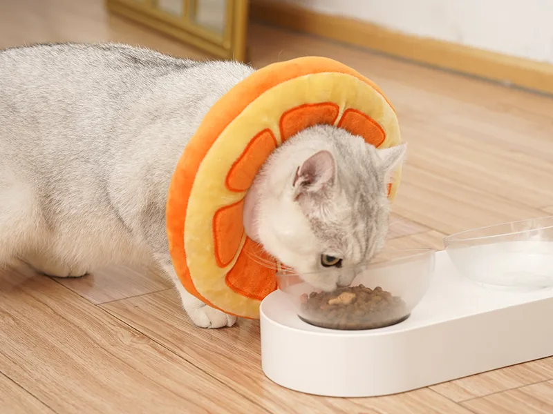 ANWA Adjustable Cat Cone Collar Soft, Cute Cat Recovery Collar, Cat Cones After Surgery for Kittens Medium (7-18 lbs) Orange - Normal Eating