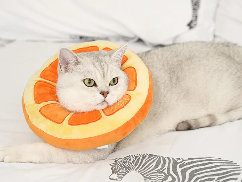 ANWA Adjustable Cat Cone Collar Soft, Cute Cat Recovery Collar, Cat Cones After Surgery for Kittens Medium (7-18 lbs) Orange - Soft As A Pillow
