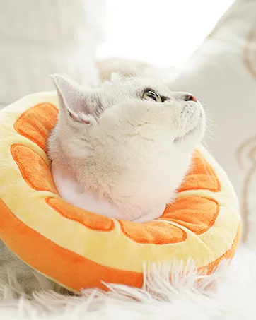 ANWA Adjustable Cat Cone Collar Soft, Cute Cat Recovery Collar, Cat Cones After Surgery for Kittens Medium (7-18 lbs) Orange - soft comfy cone