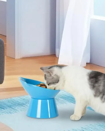 15 Tilted Raised Cat Bowls for Food Water,Cute Cat Dishes for Protecting Spine,Anti-Vomiting Elevated Cat Bowl White - cat bowl