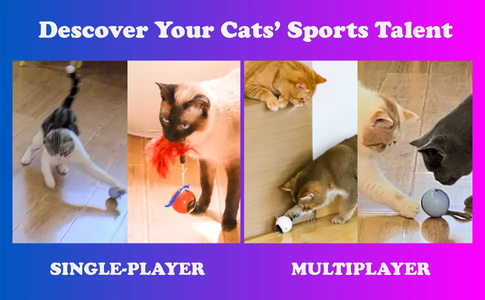 Migipaws Cat Toys, Automatic Moving Ball Bundle Classic Mice + Feather Kitten Toys in Pack. DIY N in 1 Pets Smart Electric Teaser, USB Rechargeable (White) - cat toys balls interactive automatic moving rolling best active self play motorized electric