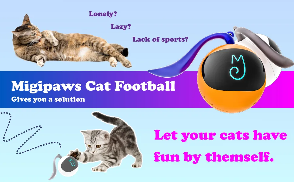 Migipaws Cat Toys, Automatic Moving Ball Bundle Classic Mice + Feather Kitten Toys in Pack. DIY N in 1 Pets Smart Electric Teaser, USB Rechargeable (White) - make cat enjoyments happy solve cat lonely,lazy by sport