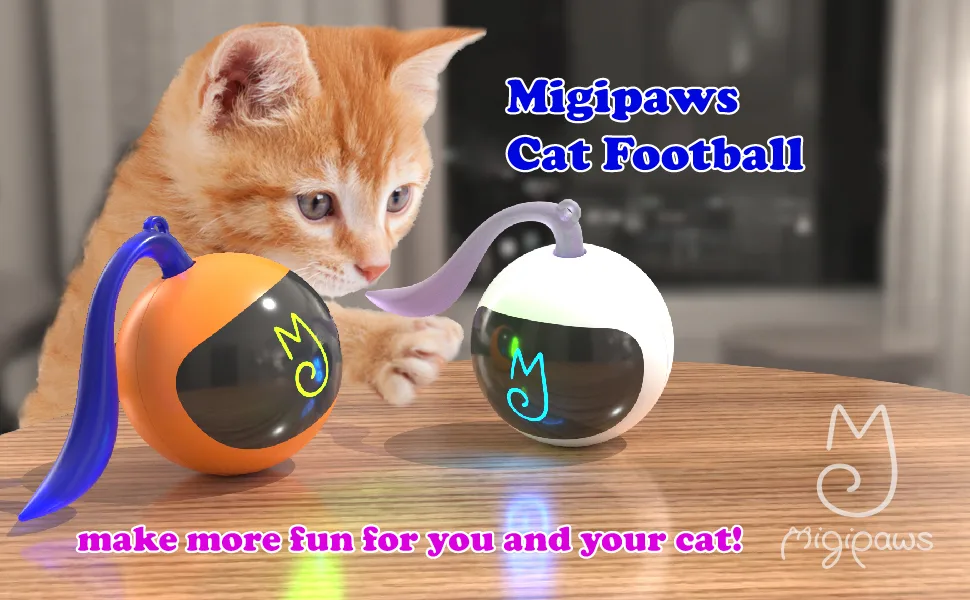 Migipaws Cat Toys, Automatic Moving Ball Bundle Classic Mice + Feather Kitten Toys in Pack. DIY N in 1 Pets Smart Electric Teaser, USB Rechargeable (White) - Migipaws cat soccer makes great fun