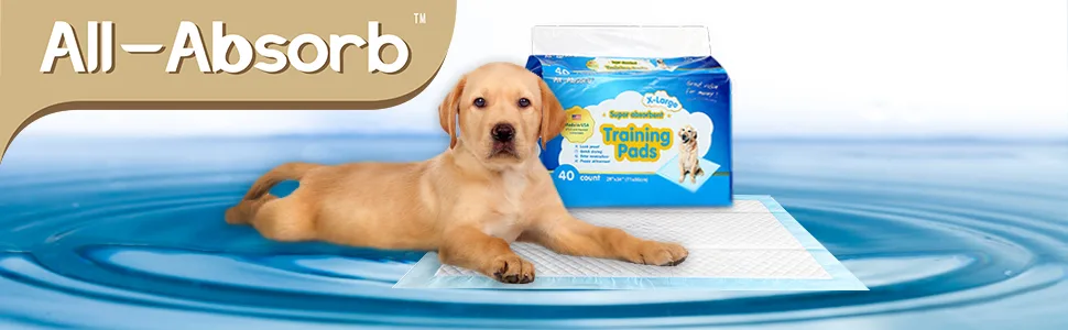 All-Absorb A25 Male Dog Wrap, 50 Count, Medium , White - All-Absorb