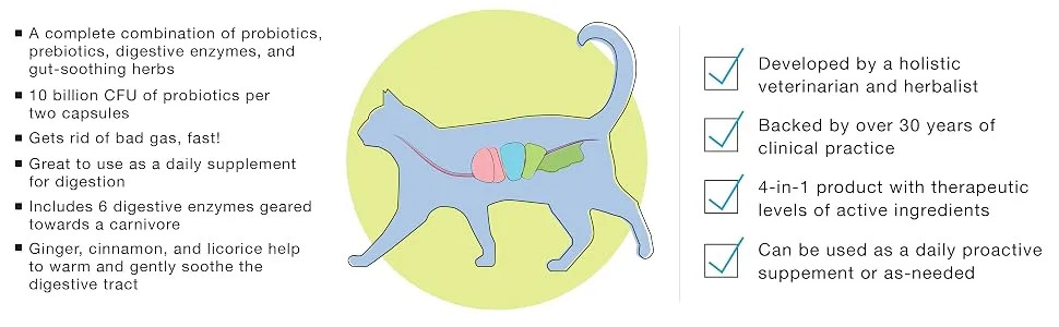 Herbsmith Microflora Plus  4-in-1 Complete Cat Digestive Aid  Cat Prebiotics and Probiotics  Cat Probiotics for Diarrhea - 30 Capsules - cat digestion, cat digestive aid, cat prebiotics and probiotics, cat probiotics chews, cat diarrhea