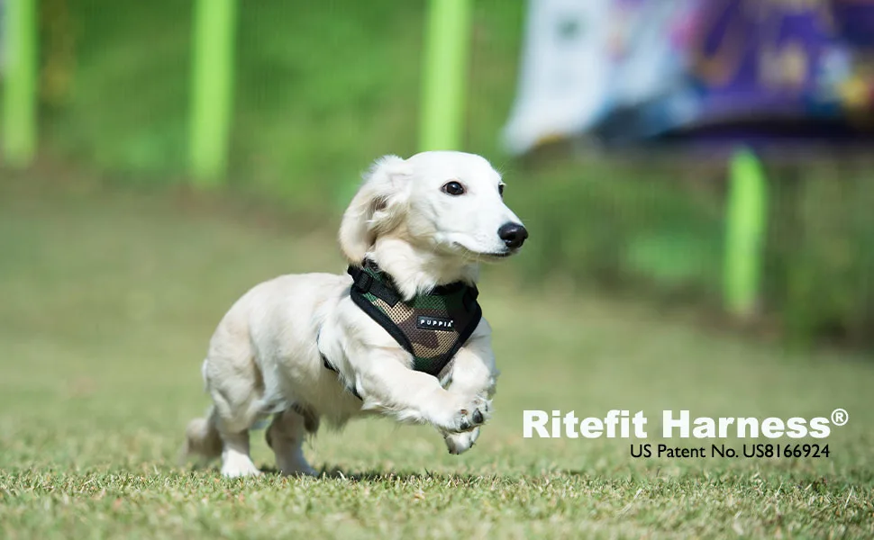 Puppia RiteFit Harness Medium Red - product information 1