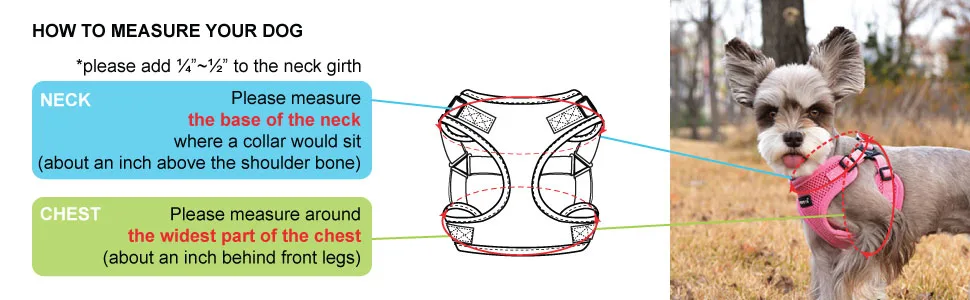 Puppia Soft Harness C Medium SKY BLUE - hc1533_4