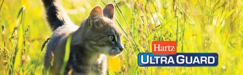 Hartz UltraGuard Plus Reflective Flea & Tick Collar for Cats and Kittens - hug cat