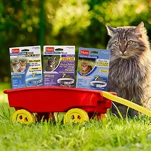 Hartz UltraGuard Plus Reflective Flea & Tick Collar for Cats and Kittens - wagon