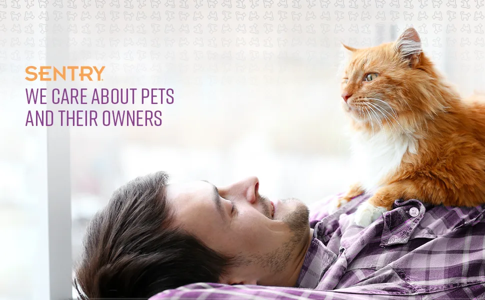 SENTRY PET CARE Calming Collar for Cats 1-Count - Sentry Behavior Calming Collar Cat