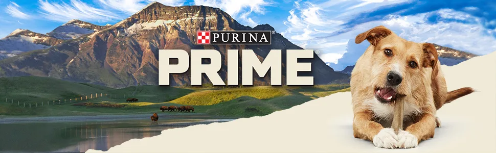 Purina Prime Bones Natural Dog Treats, Medium/Large Dog Chew Stick (Medium) Venison 9 Count (Pack of 1) - image