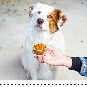 Herbsmith Pure Krill - Wild-Caught Antarctic Krill - Just 1 Ingredient - Astaxanthin for Dogs - Ready-to-Use Omega 3s 75g - pure krill