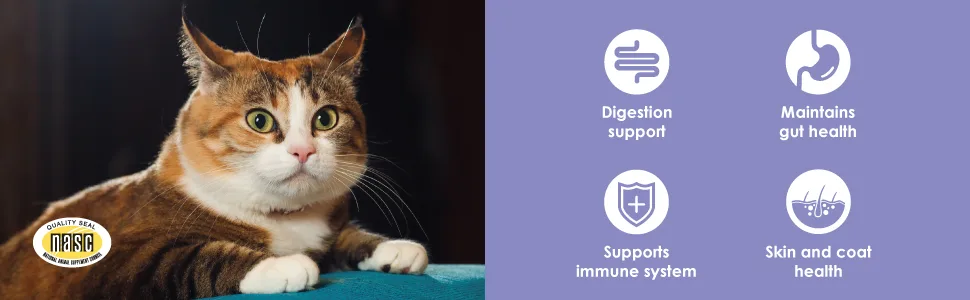 Proflora Probiotic for Cats - Healthy Digestion - Boost Immune System - Normal Bowel Function - Skin and Coat Health - Supplement for GI Tract - 30 Servings - Proflora Daily Probiotic for Cats