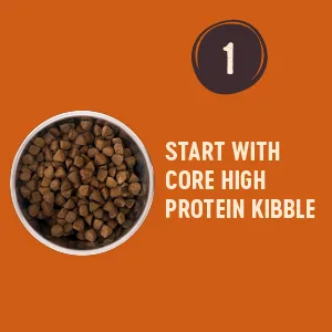 Wellness CORE Bowl Boosters, Functional Meal Topper, Dry Dog Food Topper, 4 Ounce Bag Digestive Health - Wellness CORE #1