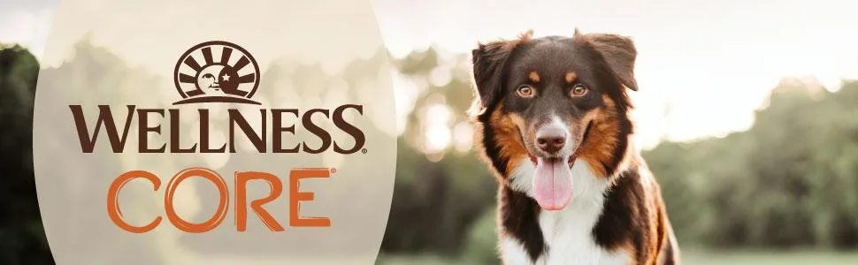 Wellness CORE Bowl Boosters, Functional Meal Topper, Dry Dog Food Topper, 4 Ounce Bag Digestive Health - Wellness CORE