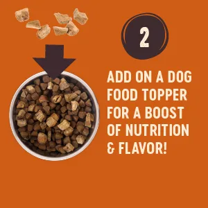 Wellness CORE Bowl Boosters, Functional Meal Topper, Dry Dog Food Topper, 4 Ounce Bag Digestive Health - Wellness CORE #2