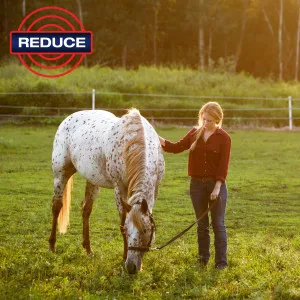 Farnam 10330 X Insecticide and Repellent for Horses and Dogs, 32 Ounces, None 32 Fluid Ounces - unspecified