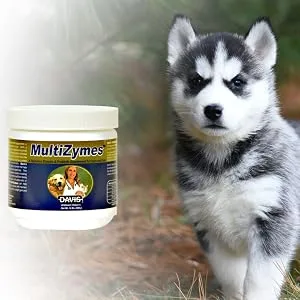 Davis MultiZymes Nutritional Supplement, 14 oz - product information 2