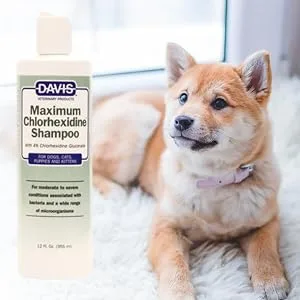 Davis Maximum Chlorhexidine Pet Shampoo, 12 oz - product information 2