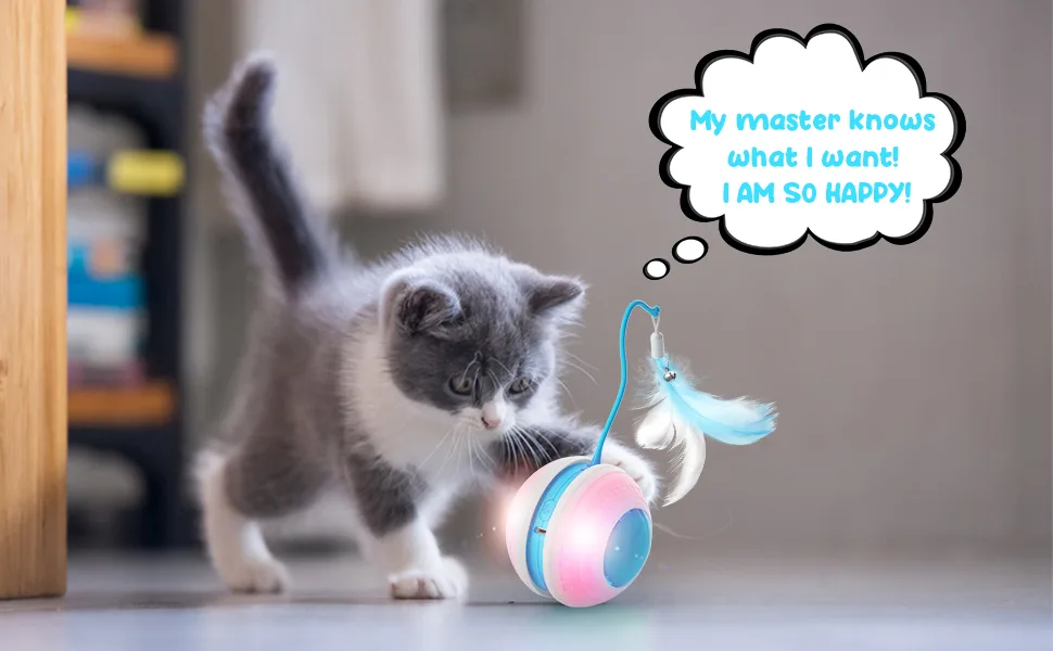 Interactive Cat Ball Toys with Bird Sound, Led Light, Detachable Protective Rubber Shell, USB Charging, Automatic 360 Rolling, 2 Feathers & Bell, Robotic Cat Moving Toys for Indoor Cats - B09W51V9WV