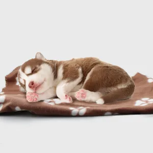 Comsmart Warm Paw Print Blanket/Bed Cover for Dogs and Cats Multi-colored 6 Pack of 24x28 Inches - pet blankets