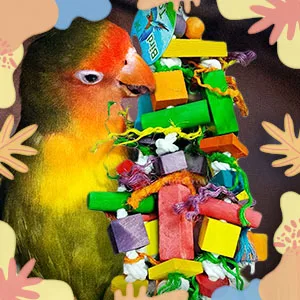 SunGrow Parrot Wooden and Rope Chewing Toy, Multi-Shaped and Multicolored Blocks and Cotton Rope with Hanging Loop 16 Inches - product information 5