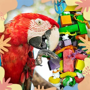 SunGrow Parrot Wooden and Rope Chewing Toy, Multi-Shaped and Multicolored Blocks and Cotton Rope with Hanging Loop 16 Inches - product information 6