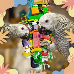 SunGrow Parrot Wooden and Rope Chewing Toy, Multi-Shaped and Multicolored Blocks and Cotton Rope with Hanging Loop 16 Inches - product information 7