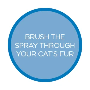 Fluffy Feline Cat Dandruff Care Spray - brush spray cat fur