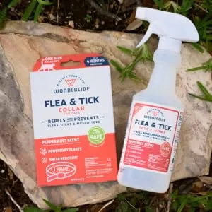 Wondercide - Flea and Tick Cat Collar - Flea, Tick, and Mosquito Repellent, Prevention for Cats - with Natural Essential Oils - Pet and Family Safe - Up to 4 Months Protection - use with flea and tick spray for ultimate protection