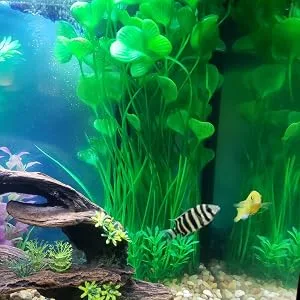 QUMY Large Aquarium Plants Artificial Plastic Fish Tank Plants Decoration Ornament for Fish A-red 15.7 Inches - product information 12