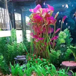QUMY Large Aquarium Plants Artificial Plastic Fish Tank Plants Decoration Ornament for Fish A-red 15.7 Inches - product information 7