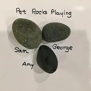 Pet Rock The Original by Gary Dahl - Pet Rock friends