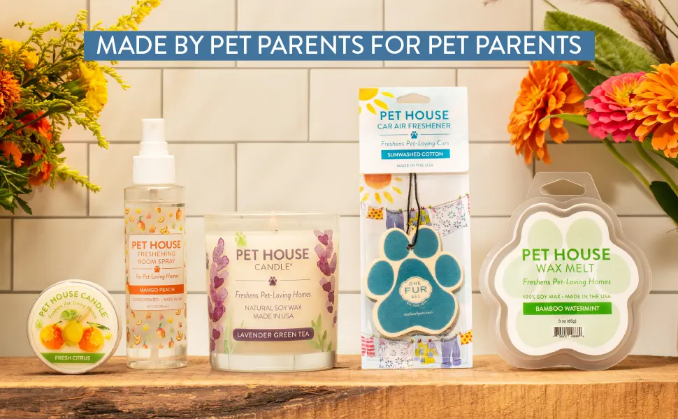 One Fur All, Pet House Reed Diffuser - Long Lasting Pet Odor Oil Diffuser - Non-Toxic Eco-Friendly Reed Diffuser Set & Diffuser Sticks - Air Freshening Scented Diffuser for Home (Fresh Citrus) - pet honest wax melt