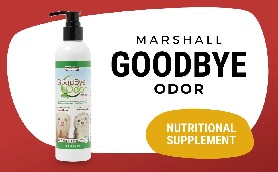 Marshall Pet Products Goodbye Odor Natural Deodorizing Water Supplement with Natural Antioxidants, for Ferrets, 8 oz - Goodbye Odor