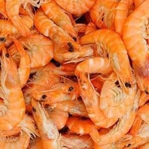 Omega One Super Color Sinking Cichlid Pellets, 2mm Small Pellets 1.01 Pound (Pack of 1) - shrimp