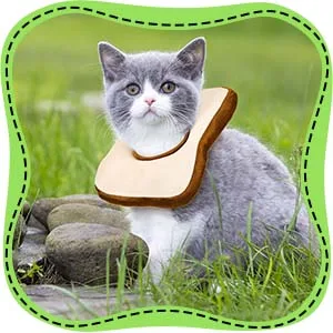 Frienda 2 Pieces Adjustable Cat E-Collar Cat Elizabeth Collar Cute Toast Neck Cone Collar Adjustable Cat Cone Collar with Soft Edge for Kitten and Cats - product information 4