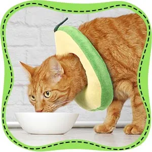 Frienda 2 Pieces Adjustable Cat E-Collar Cat Elizabeth Collar Cute Toast Neck Cone Collar Adjustable Cat Cone Collar with Soft Edge for Kitten and Cats - product information 5