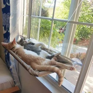 Cat Window Perch, Cat Hammock Window Seat,Sunny Seat Window Mounted Cat Bed cat Hammock Pet Save Space(Size:55x35cm) - product information 9